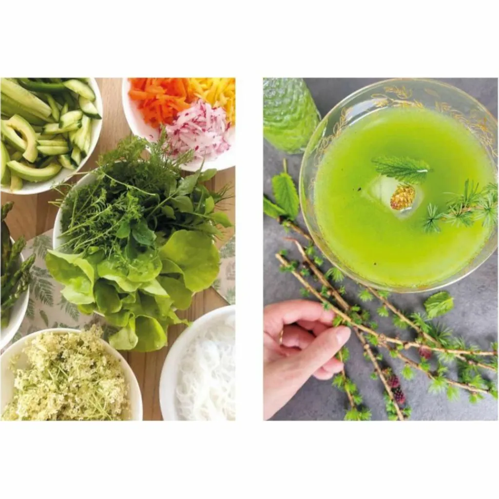 ALLES IM GRÜNEN - Kochbuch^ Kochbücher