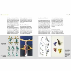 Sportklettern: Kletterführer, Training Und Techniken|Outdoor Wissen: Tipps Und Techniken*ALPIN-LEHRPLAN 5: KLETTERN - SICHERUNG UND AUSRÜSTUNG - Ratgeber