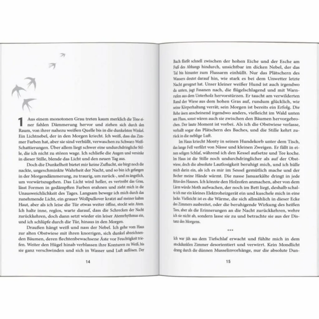 So Weit Die Füße Tragen*ÜBERLAND - Reisebericht