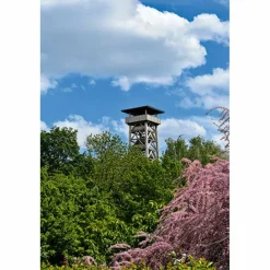 BVR RUND UM FRANKFURT - Wanderführer^ Wanderführer