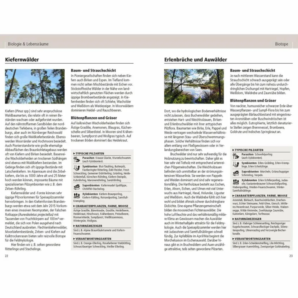 DAS KOSMOS-HANDBUCH PILZE - Pilz-Ratgeber^ Tiere, Pflanzen Und Garten