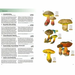 DAS KOSMOS-HANDBUCH PILZE - Pilz-Ratgeber^ Tiere, Pflanzen Und Garten
