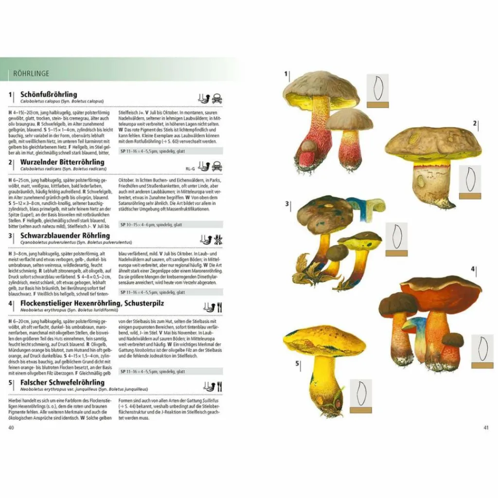 DAS KOSMOS-HANDBUCH PILZE - Pilz-Ratgeber^ Tiere, Pflanzen Und Garten