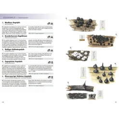 DAS KOSMOS-HANDBUCH PILZE - Pilz-Ratgeber^ Tiere, Pflanzen Und Garten