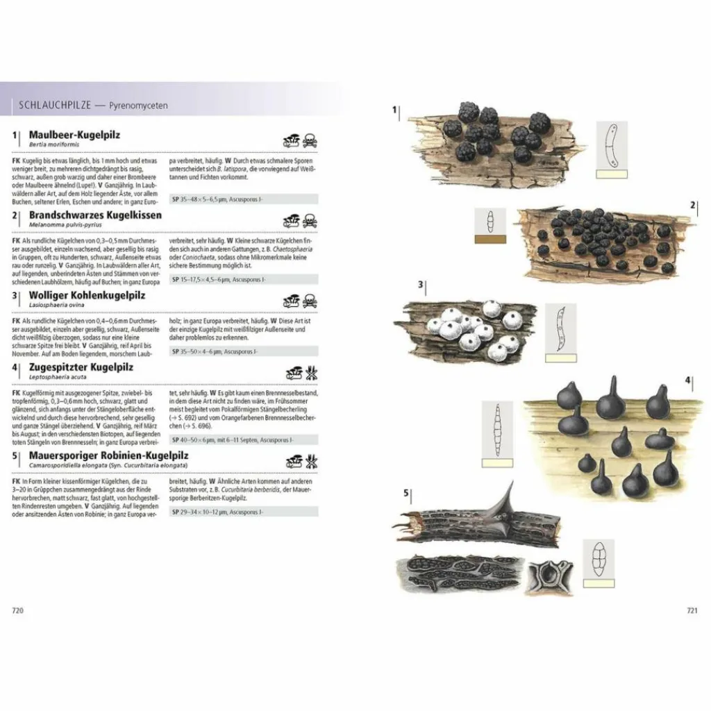 DAS KOSMOS-HANDBUCH PILZE - Pilz-Ratgeber^ Tiere, Pflanzen Und Garten