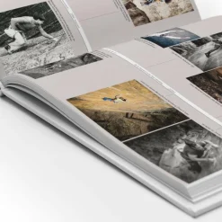 Berggeschichten Und Persönlichkeiten|Hoch Hinaus: Bergsteigen Und Klettern*DIE PFALZ - DAS BUCH