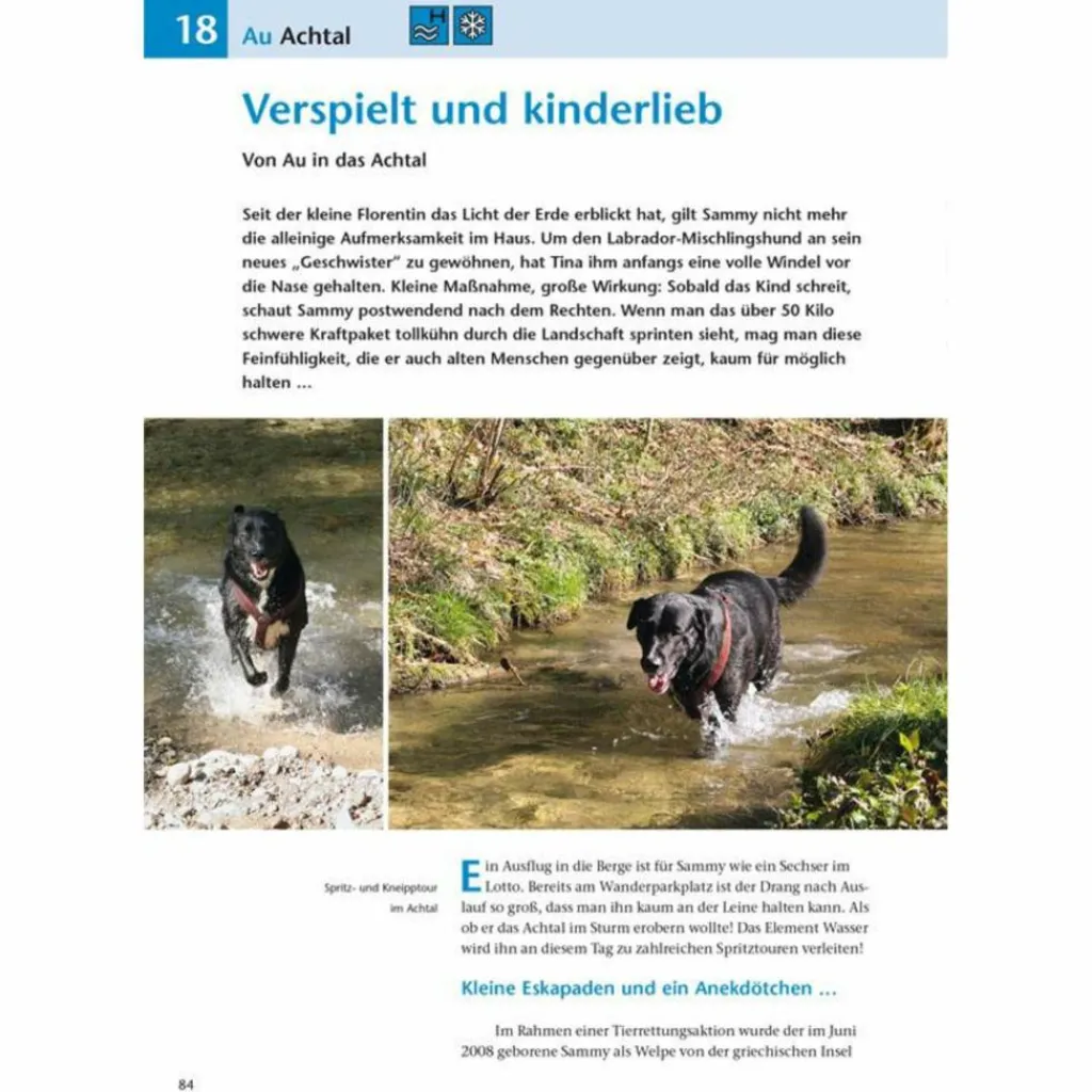 Wanderführer*DIE SCHÖNSTEN WANDERUNGEN MIT HUNDEN - Wanderführer
