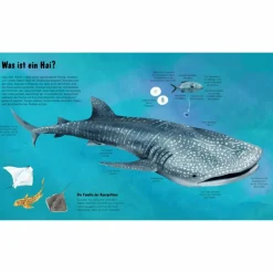 Kinder Naturratgeber Und Sachbücher|Kinderbücher Und Jugendbücher*DIE WELT DER HAIE - Kinderbuch