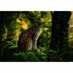 FERNWEH DEUTSCHLAND - Bildband^ Bildbände