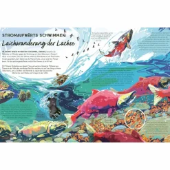 Kinder Naturratgeber Und Sachbücher|Kinderbücher Und Jugendbücher*FLÜSSE - Kinderbuch