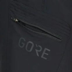 Gore Wear PASSION SHORTS Damen - Radshorts^Damen Outdoorhosen