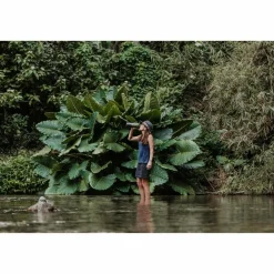 Grayl GEOPRESS PURIFIER BOTTLE - Trinkwasserfilter^ Wasserfilter|Trinkflaschen