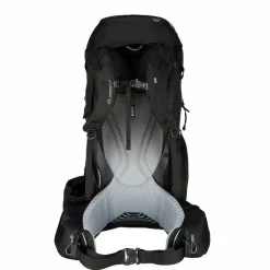 Gregory BALTORO 65 - Trekkingrucksack^ Trekkingrucksäcke
