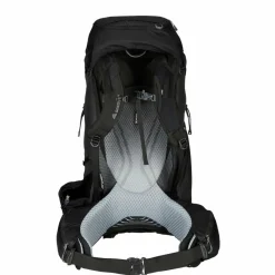 Gregory Trekkingrucksäcke*BALTORO 65 - Trekkingrucksack