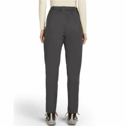 Damen Icebreaker Outdoorhosen*W MERINO BLEND ELEVATION STRETCH PANTS Damen - Trekkinghose