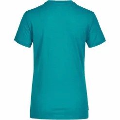 Icebreaker WOMEN MERINO 150 TECH LITE III SS TEE HIKE PATH Damen - Funktionsshirt^Damen Shirts Und Tops