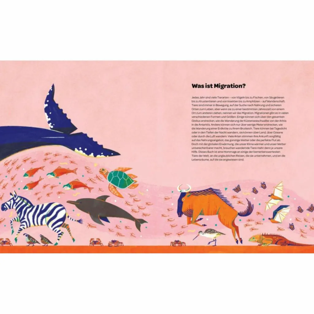 Kinder Naturratgeber Und Sachbücher|Kinderbücher Und Jugendbücher*IMMER UNTERWEGS - Kinderbuch