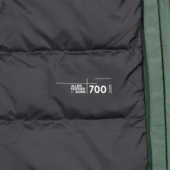 Damen Jack Wolfskin Outdoorjacken*ICECAPE 2L DOWN INS JKT W RDS Damen - Daunenjacke