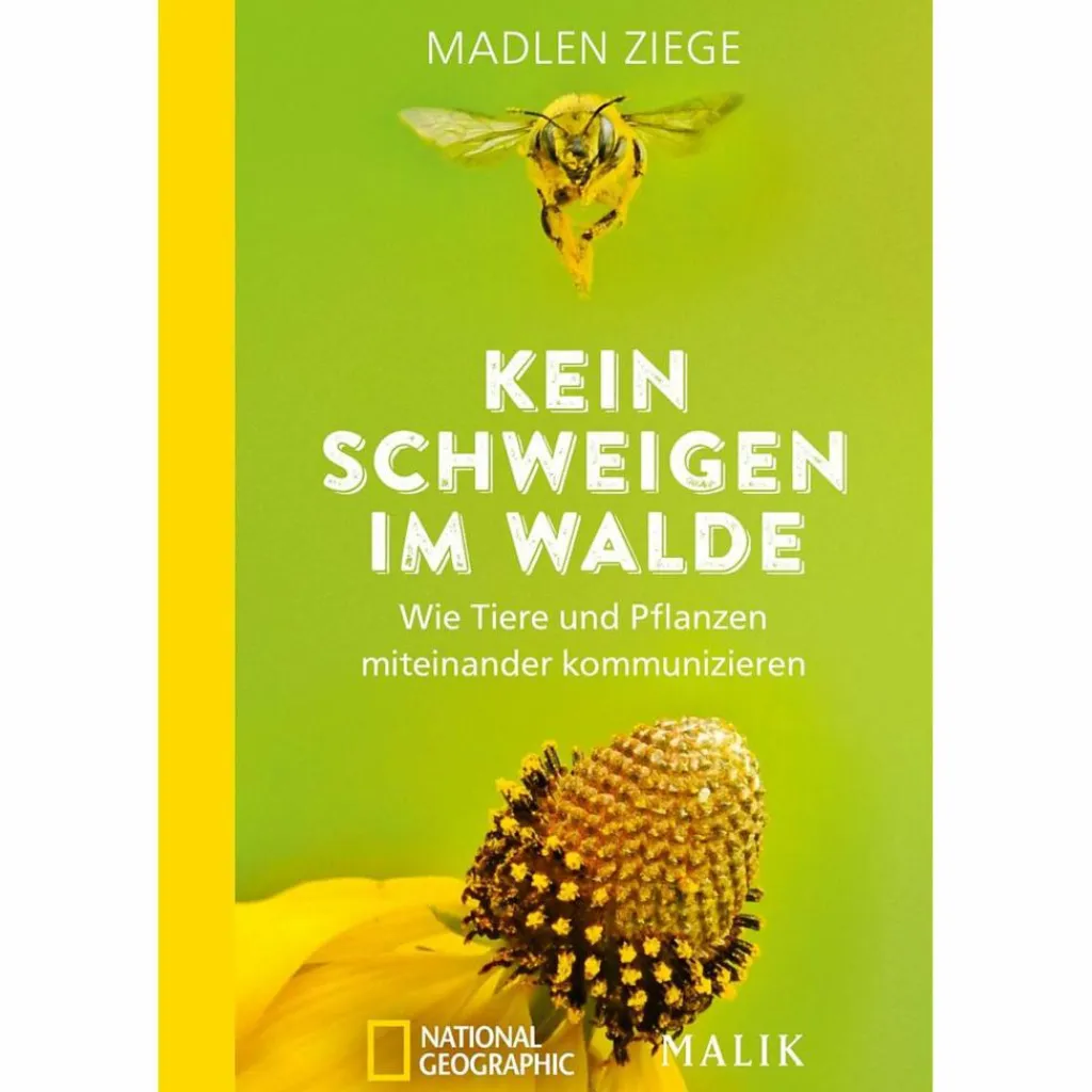 Outdoor-Sachbücher Und Naturwissen*KEIN SCHWEIGEN IM WALDE - Sachbuch