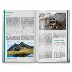 KOMPASS WANDERFÜHRER MONTAFON, ARLBERG, SILVRETTA, 60 TOUREN^ Wanderführer