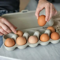 KOZIOL Campingtöpfe Und Campinggeschirr*EGG BOX EGGS TO GO
