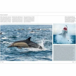 KUNTH SÜDAFRIKA. DAS BUCH (MAGNUM-AUSGABE) - Bildband^ Bildbände