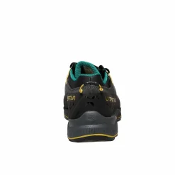 Herren La Sportiva Wanderschuhe Und Trekkingschuhe*TX4 EVO GTX Herren - Zustiegsschuhe