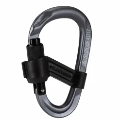 Mammut SMART HMS 2.0 SCREWGATE CARABINER - Karabiner^ Karabiner