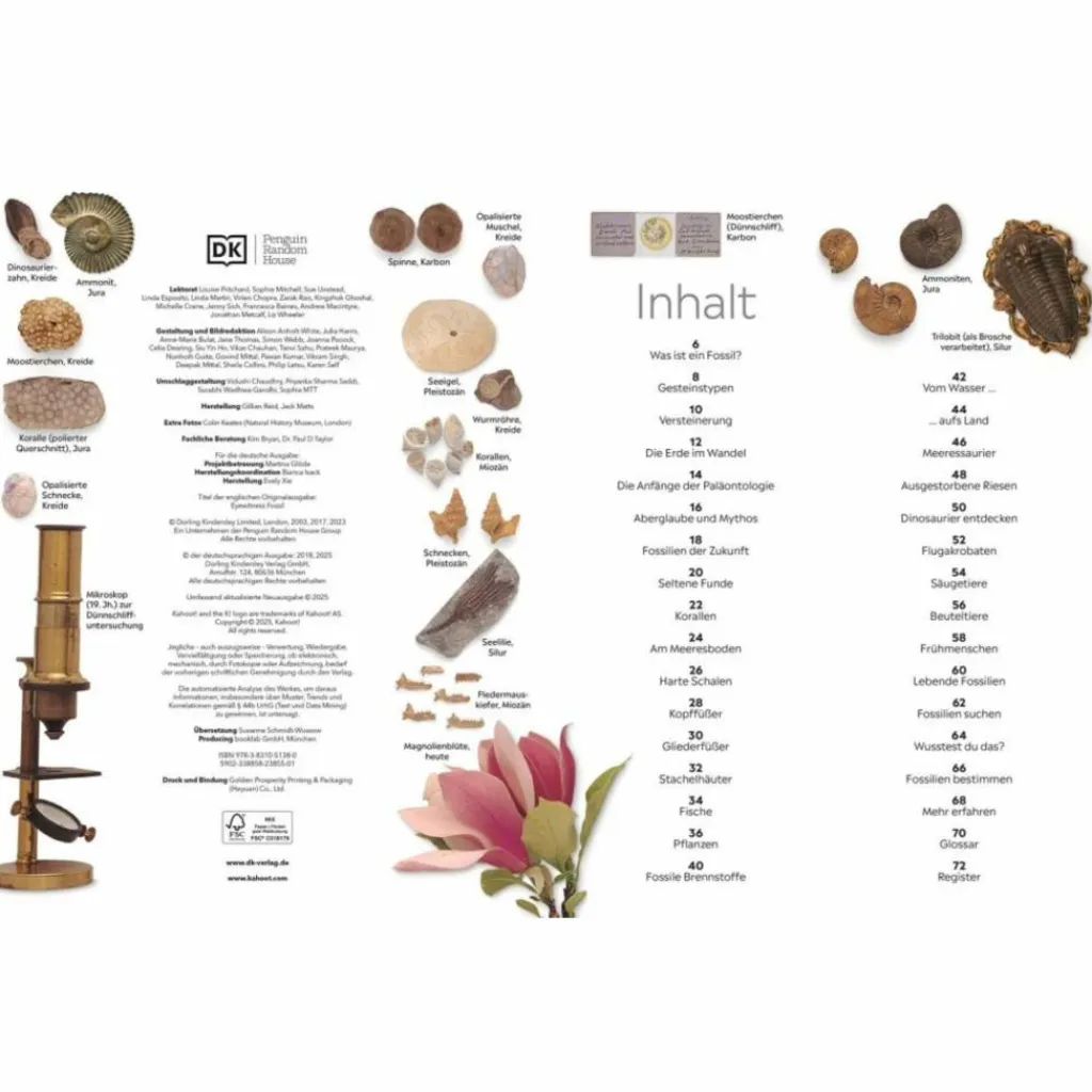 MEMO WISSEN FOSSILIEN - Kinderbuch^Kinder Naturratgeber Und Sachbücher|Kinderbücher Und Jugendbücher