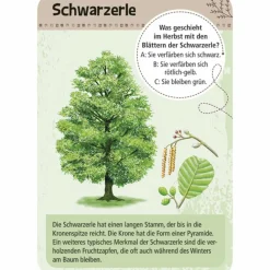 Moses Verlag EXPEDITION NATUR 50 HEIMISCHE BÄUME - Reisespiel^Kinder Kinderreisespiele Und Spielzeug