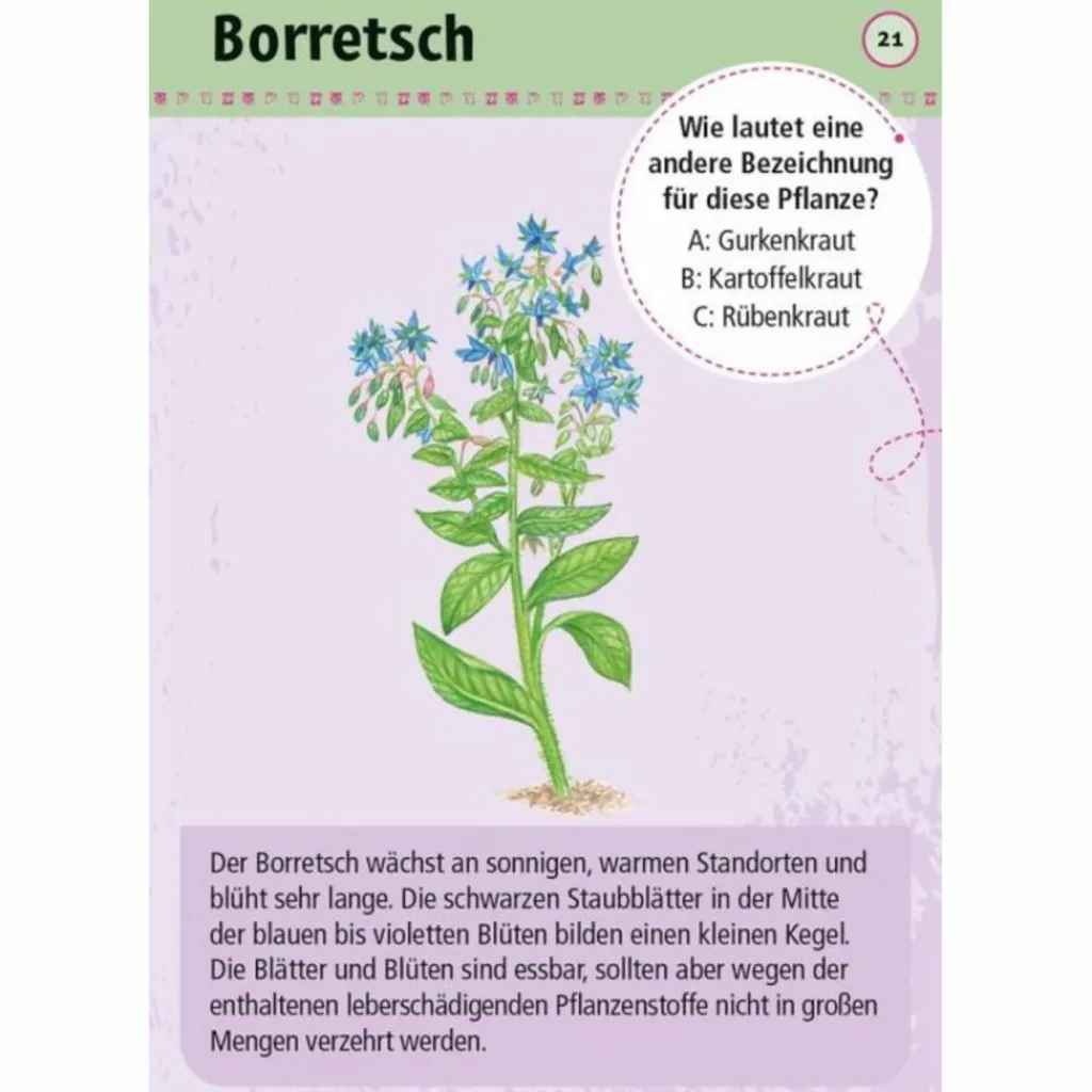 Kinder Moses Verlag Kinderreisespiele Und Spielzeug*EXPEDITION NATUR 50 ESSBARE WILDPFLANZEN - Reisespiel