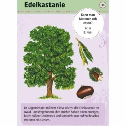 Kinder Moses Verlag Kinderreisespiele Und Spielzeug*EXPEDITION NATUR 50 ESSBARE WILDPFLANZEN - Reisespiel
