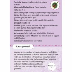 Kinder Moses Verlag Kinderreisespiele Und Spielzeug*EXPEDITION NATUR 50 ESSBARE WILDPFLANZEN - Reisespiel