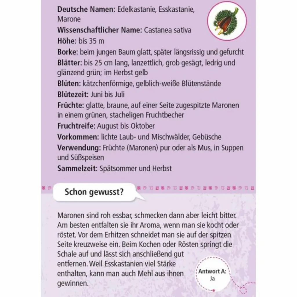 Kinder Moses Verlag Kinderreisespiele Und Spielzeug*EXPEDITION NATUR 50 ESSBARE WILDPFLANZEN - Reisespiel