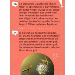 Moses Verlag MEIN BECHERLUPEN-FORSCHERQUIZ - Reisespiel^Kinder Kinderreisespiele Und Spielzeug