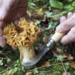 Opinel NO 08 PILZMESSER MIT BÜRSTE Unisex - Klappmesser^ Klappmesser