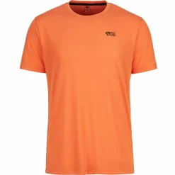 Picture Organic Clothing TIMONT SS URBAN TECH TEE Herren - Funktionsshirt^Herren Shirts Und Tops