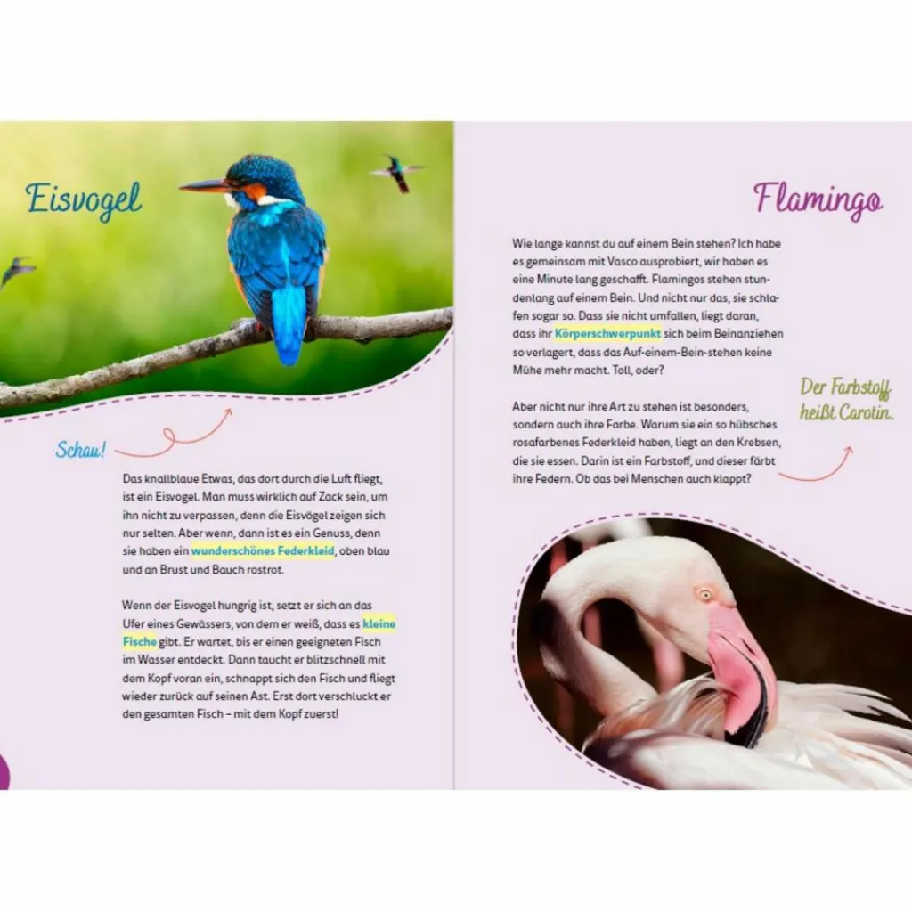 Kinder Naturratgeber Und Sachbücher|Kinderbücher Und Jugendbücher*PORTUGAL FOR KIDS - Reiseführer