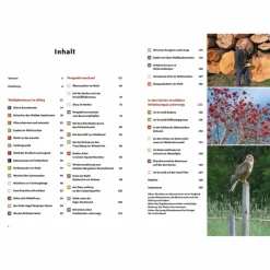 RAUS IN DEN WALD - Ratgeber^ Outdoor Wissen: Tipps Und Techniken