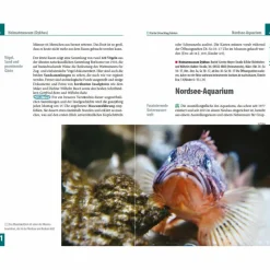 REISE KNOW-HOW REISEFÜHRER BORKUM^ Reiseführer Deutschland