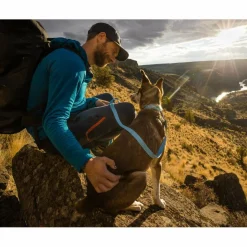 Ruffwear Hundezubehör*HI & LIGHT COLLAR - Hundezubehör