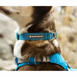 Ruffwear Hundezubehör*HI & LIGHT COLLAR - Hundezubehör