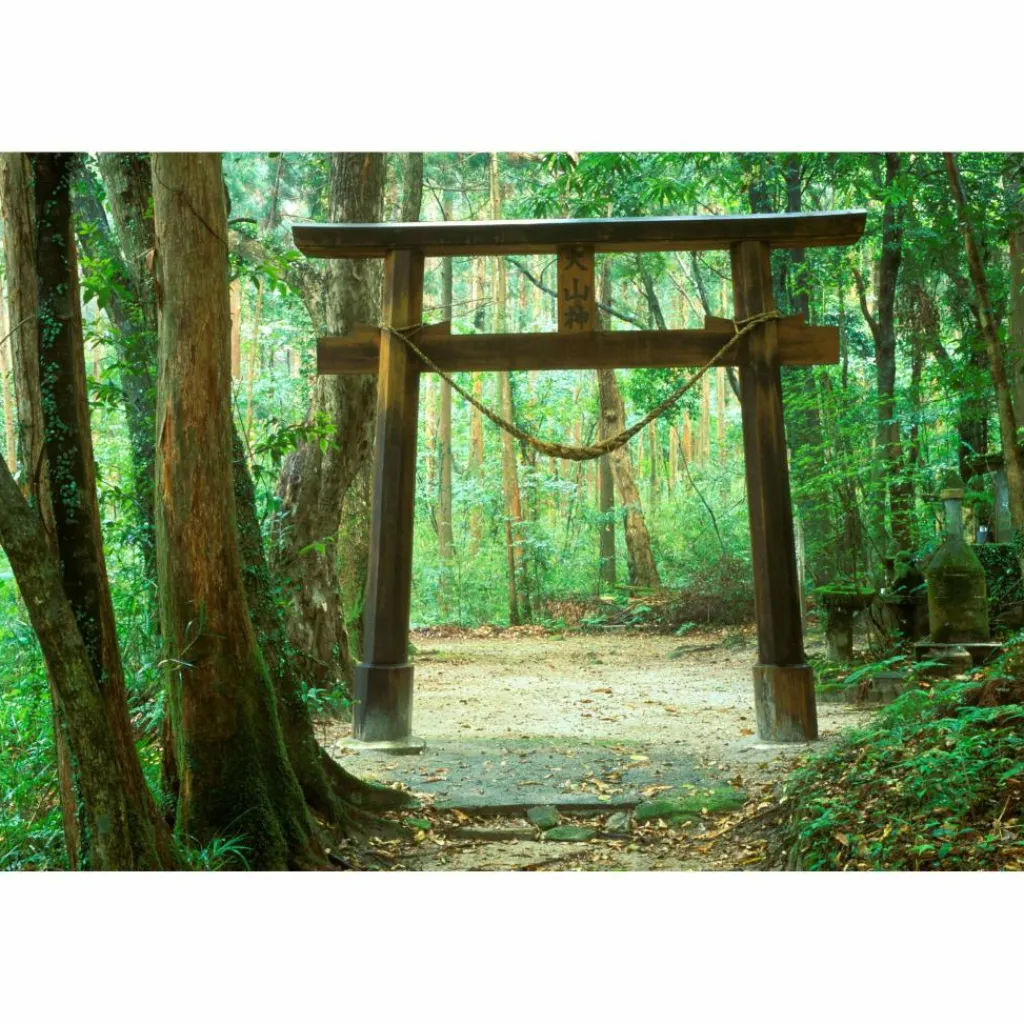 SECRET PLACES JAPAN - Bildband^ Bildbände