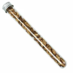 Snack-Insects Verpflegung*GRILLON