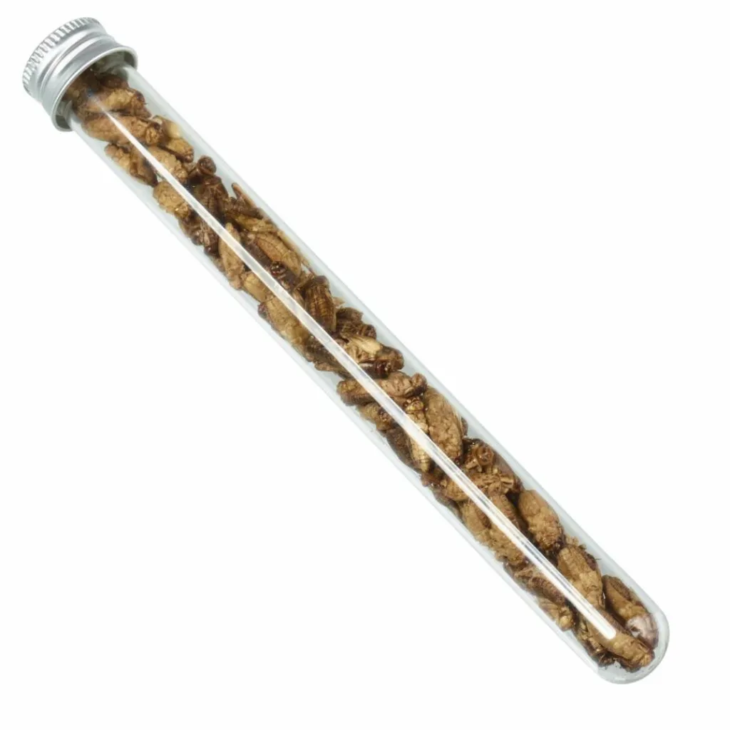 Snack-Insects Verpflegung*GRILLON