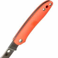 Spyderco ROADIE - Klappmesser^ Klappmesser