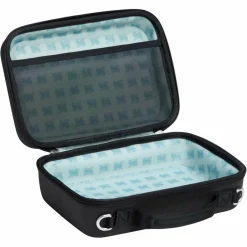 Stanley Kühlboxen Und Kühltaschen*THE ARISTA MINI LUNCH BOX - Kühltasche