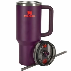 Stanley THE QUENCHER H2.O FLOWSTATE TUMBLER Unisex - Thermobecher^ Thermoflaschen Und Becher|Campingtöpfe Und Campinggeschirr