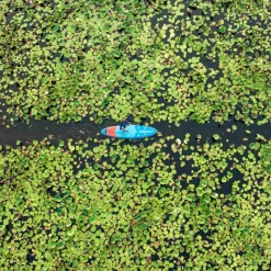Starboard IGO WITH PADDLE - SUP Board^ Sup Boards