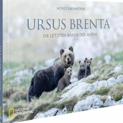 URSUS BRENTA - DIE RÜCKKEHR DER BÄREN IN DIE ALPEN - Bildband^ Bildbände